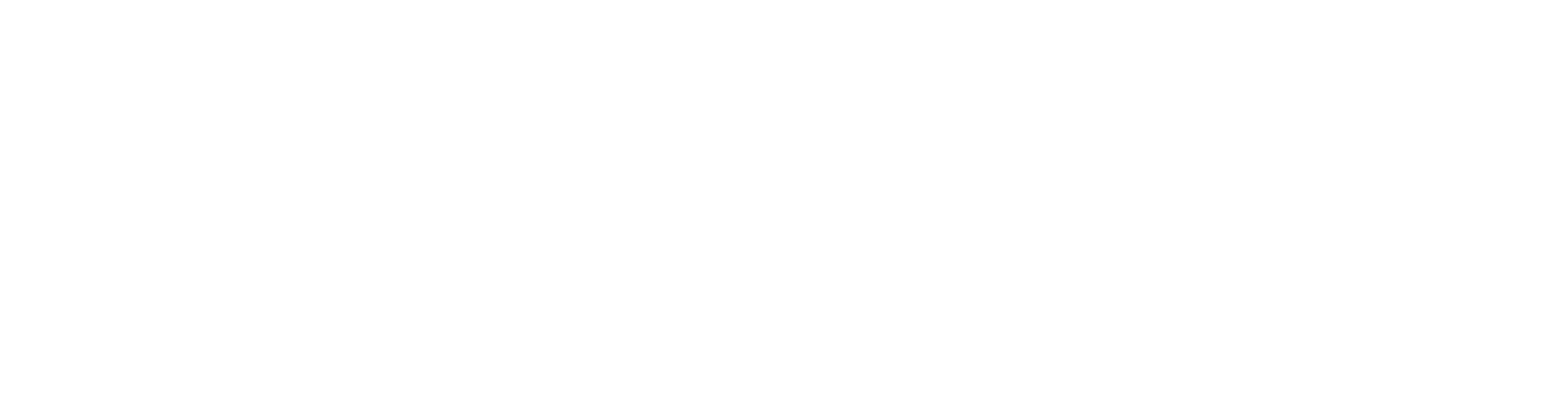 Logo Bizzy.cd