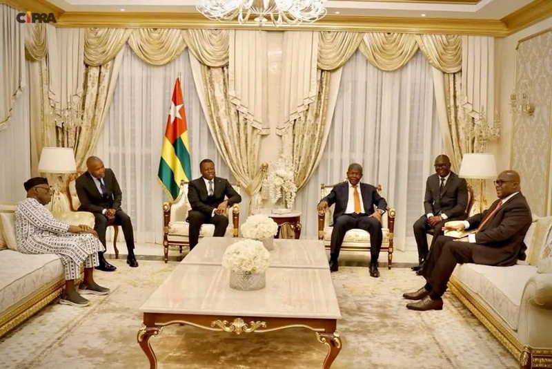 Crise à l'Est de la RDC : L'Union africaine exige le retrait rwandais et la neutralisation des FDLR